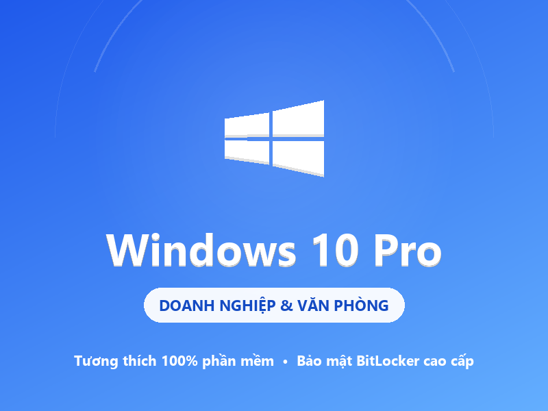 Windows 10 Pro