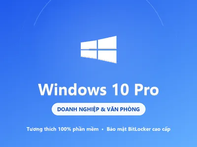 Windows 10 Pro