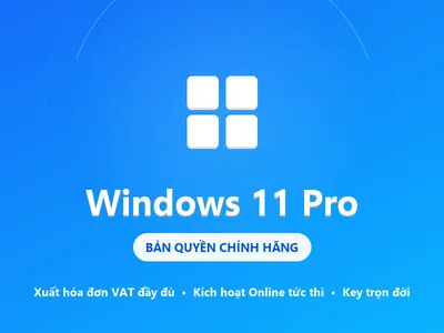Windows 11 Pro